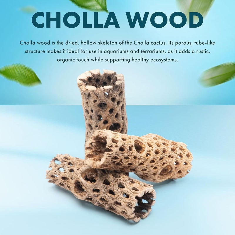SubstrateSource Natural Cholla Wood - Driftwood for Aquariums, Air Plant Base, Hermit Crab and Freshwater Shrimp Hideout, Fish Tank Decoration, Chinchilla Chews, Reptile Habitat Wood - 4 Inch, 3pc - Image 2